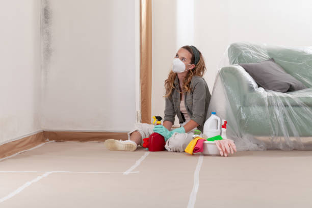 Reliable Mold Remediation contractor in Totowa, NJ by WQB Mold Removal